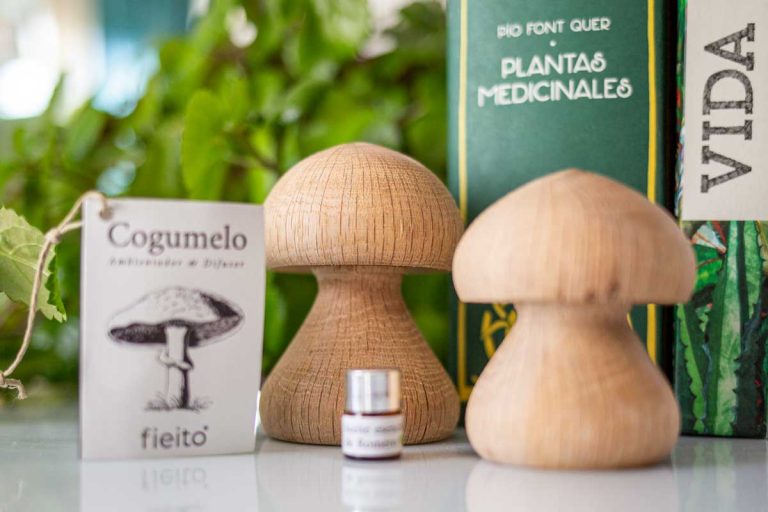 5 ideas de ambientadores ecológicos caseros